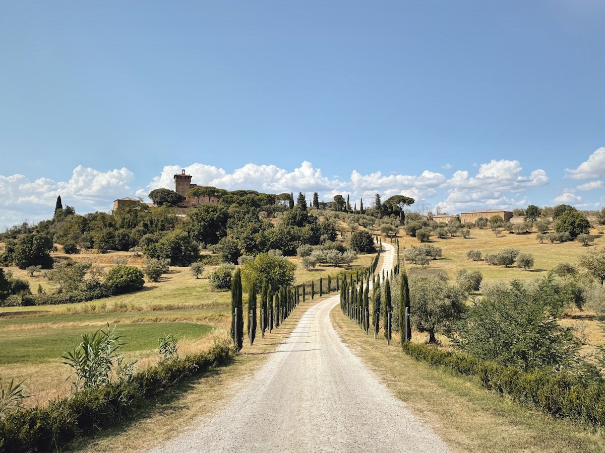 Cypress-lined road near Pienza, Val d’Orcia