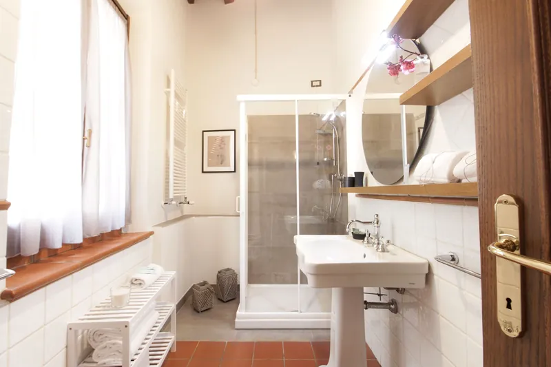 Blue bedroom bathroom · shower, basin and window