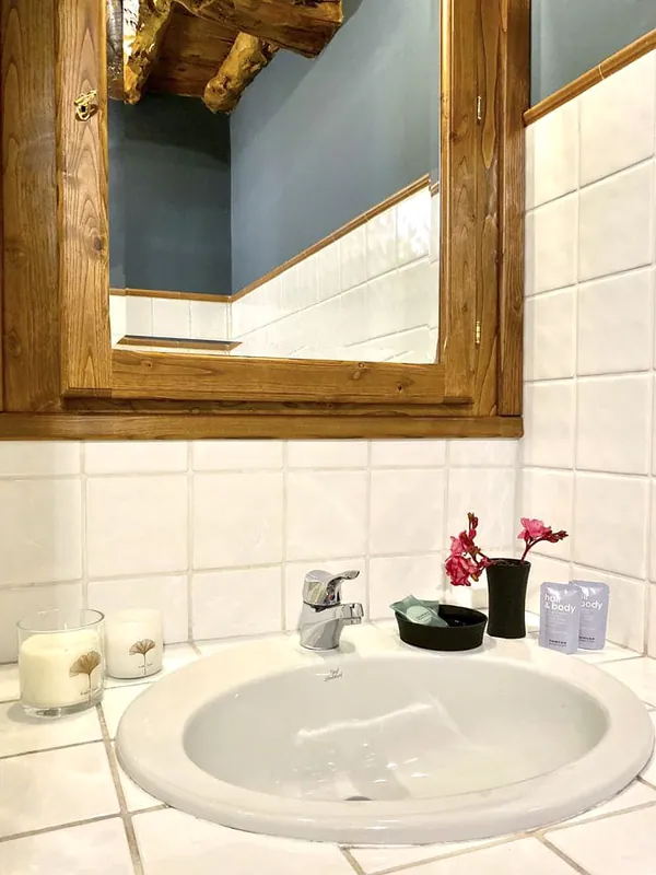 Floral bedroom bathroom · basin and mirror