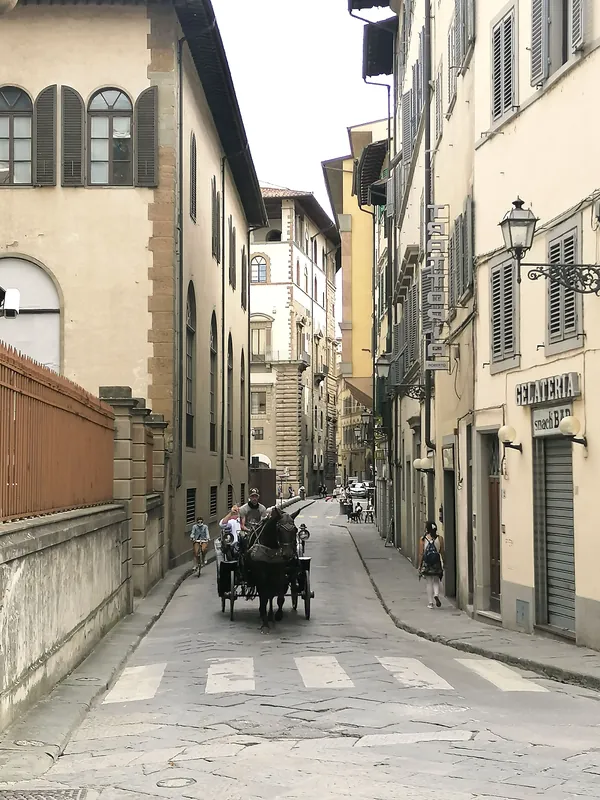 Via dei Castellani in the historic centre of Florence